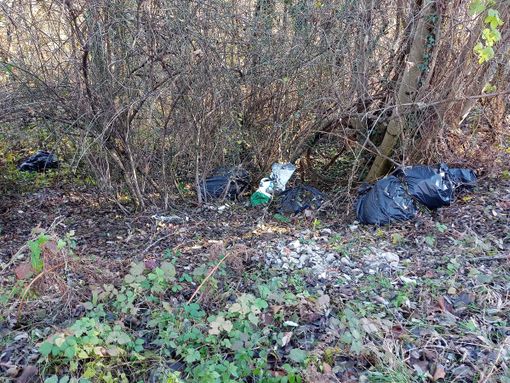 Rifiuti abbandonati nei boschi lungo la 394 a Casalzuigno (foto da Facebook Amo Madre Terra)
