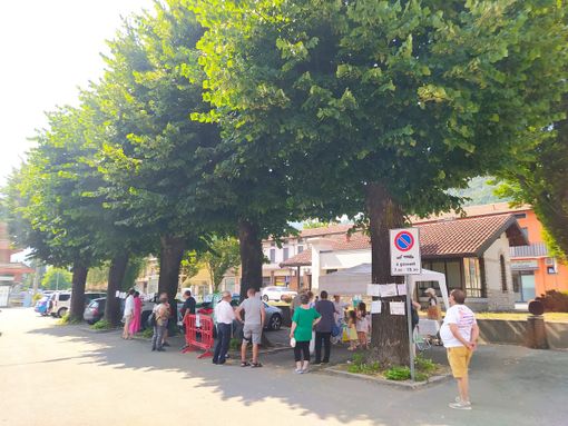 Cuveglio, 1300 firme per salvare i tigli di piazza Mercato Cuveglio, 1300 firme per salvare i tigli di piazza Mercato