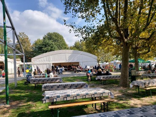 Tutto è pronto sul lungolago di Gavirate per gustare asparagi e fragole coltivati nel Varesotto: ecco il menù degli chef della Pro Loco Tutto è pronto sul lungolago di Gavirate per gustare asparagi e fragole coltivati nel Varesotto: ecco il menù degli chef della Pro Loco