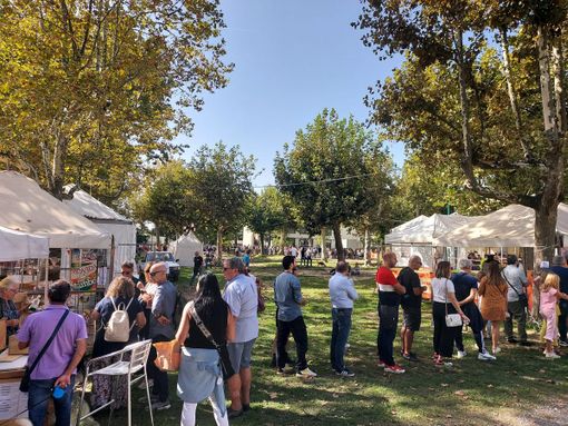 Terza domenica dedicata alla zucca a Gavirate, aperta una terza cassa per limitare le code allo stand gastronomico Terza domenica dedicata alla zucca a Gavirate, aperta una terza cassa per limitare le code allo stand gastronomico