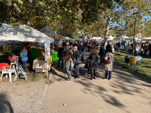 A Gavirate la Festa della Zucca ha battuto Covid e paure: a vincere è stata la voglia di stare insieme A Gavirate la Festa della Zucca ha battuto Covid e paure: a vincere è stata la voglia di stare insieme