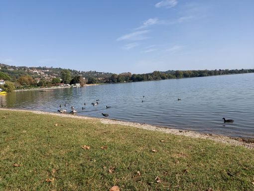 Il lago di Varese a Gavirate Il lago di Varese a Gavirate