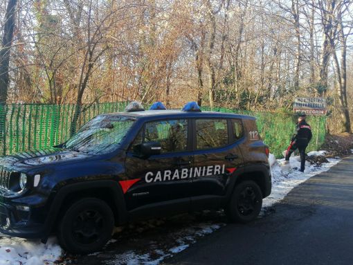 "Rete Verde" di Cugliate Fabiasco. Altri due arresti per lo spaccio nei boschi "Rete Verde" di Cugliate Fabiasco. Altri due arresti per lo spaccio nei boschi