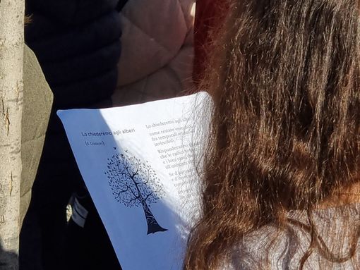 Nuovi alberi di frassino e sorbo per la primaria di Angera Nuovi alberi di frassino e sorbo per la primaria di Angera