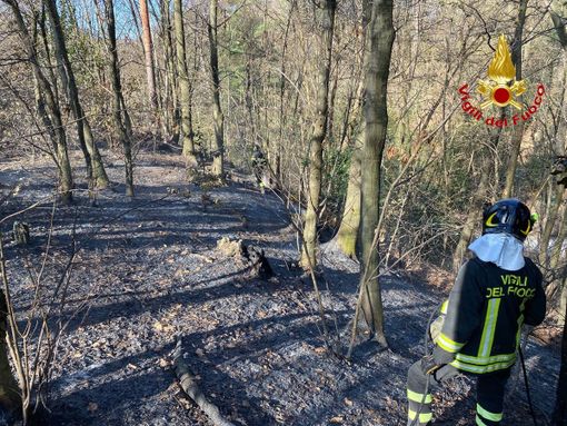Incendio nei boschi di Cadegliano, sul posto i vigili del fuoco