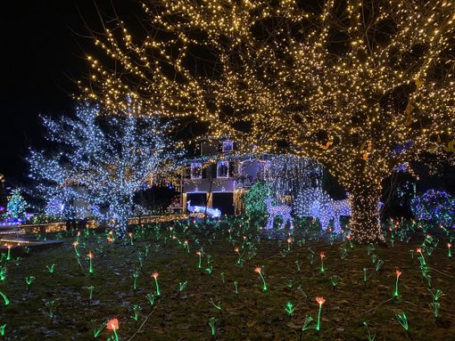 Lucine di Laveno, tra polemiche sui costi dei biglietti e qualche anticipazione sullo spettacolo. La parola alla famiglia Betti Lucine di Laveno, tra polemiche sui costi dei biglietti e qualche anticipazione sullo spettacolo. La parola alla famiglia Betti
