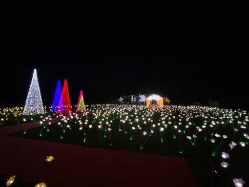 A Leggiuno le Lucine di Natale continuano a brillare anche di sostenibilità A Leggiuno le Lucine di Natale continuano a brillare anche di sostenibilità