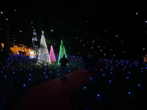 Lucine di Leggiuno: il Natale non è ancora arrivato ma è già boom di visitatori. Superate le 25mila presenze Lucine di Leggiuno: il Natale non è ancora arrivato ma è già boom di visitatori. Superate le 25mila presenze