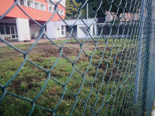 I segni del passaggio dei cinghiali dal cortile della scuola di Luvinate I segni del passaggio dei cinghiali dal cortile della scuola di Luvinate