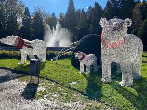 FOTO. Orsi ai Giardini e lucine in città, al Sacro Monte e alla Rasa: il Natale farà risplendere Varese