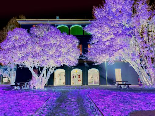 Riqualificazione di Villa Fara Forni a Vedano Olona: il progetto del Comune per creare una nuova "agorà"