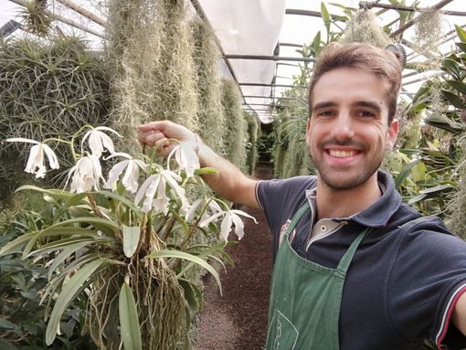 Gioele Porrini, il "principe" delle orchidee: «Ammaliato in Honduras, oggi ne coltivo 22mila»