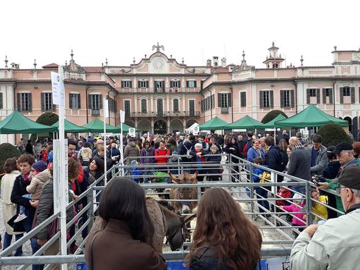 Brianza (Lega): «AgriVarese ad Angera? La Città Giardino ha perso un'occasione»