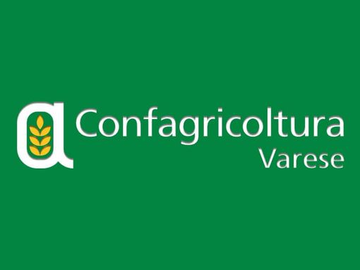 Il ministro Giorgetti e il governatore Fontana alla 76esima assemblea di Confagricoltura Varese Il ministro Giorgetti e il governatore Fontana alla 76esima assemblea di Confagricoltura Varese