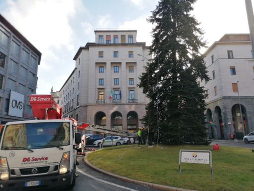 Una cascata di luci per l'albero di Natale di Varese. I vigili del fuoco posano le luminarie Una cascata di luci per l'albero di Natale di Varese. I vigili del fuoco posano le luminarie