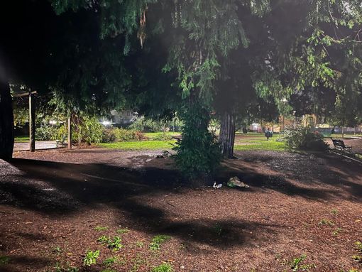 Il Parco Perelli sotto la pioggia di ieri sera