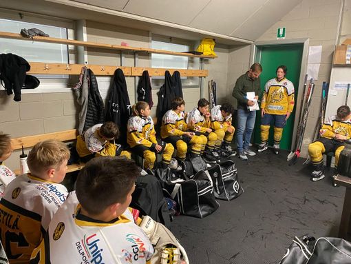 Ridiamo ai piccoli Mastini quel pulmino che li porta sulla strada dei sogni Ridiamo ai piccoli Mastini quel pulmino che li porta sulla strada dei sogni