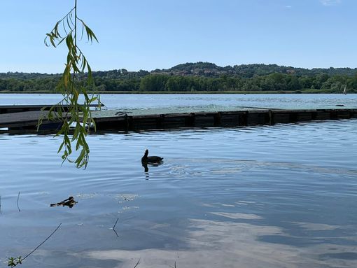 Visite naturalistiche, laboratori per bambini e tradizioni. L'estate si passa sul lago di Varese Visite naturalistiche, laboratori per bambini e tradizioni. L'estate si passa sul lago di Varese