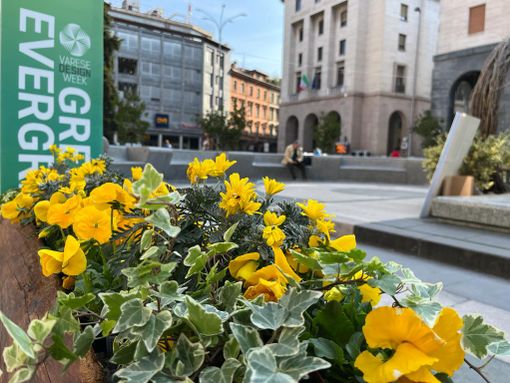 Varese Città Giardino... per l'infanzia: i piccoli alunni protagonisti alla Design Week