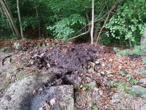 FOTO E VIDEO. Ecco lo sversamento di idrocarburi al Campo dei Fiori: inquinanti nel Parco e falde osservate speciali