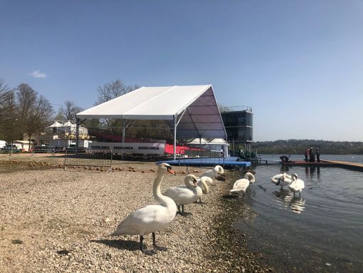 Coppa del Mondo alla Schiranna: ecco i biglietti per la tribuna coperta Coppa del Mondo alla Schiranna: ecco i biglietti per la tribuna coperta