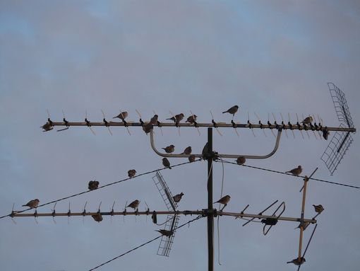 Tradate, canali tv in tilt. E' caccia al "disturbatore" della televisione