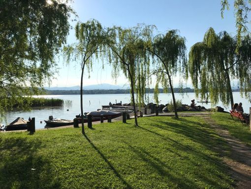 Un euro per ogni abitante: la proposta per raccogliere i fondi per rilanciare il lago di Varese