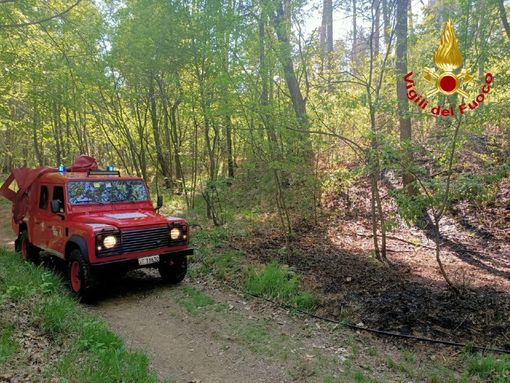 (foto generica d'archivio) (foto generica d'archivio)