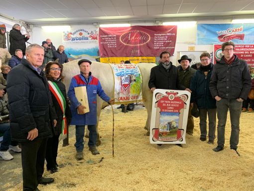 La Macelleria Borsani di Saronno si aggiudica all’asta on line il bue più importante della Fiera di Carrù La Macelleria Borsani di Saronno si aggiudica all’asta on line il bue più importante della Fiera di Carrù