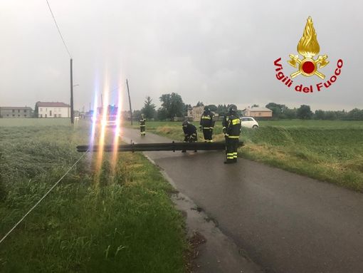 Arriva il temporale, a Saronno abbattuti alcuni pali del telefono