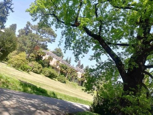 Progetto adolescenti Villa Mylius, Varese 2.0: «L'ennesima parata elettorale» Progetto adolescenti Villa Mylius, Varese 2.0: «L'ennesima parata elettorale»