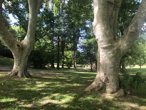 Il “Giardino delle meraviglie” del parco di Villa Mylius diventa più grande