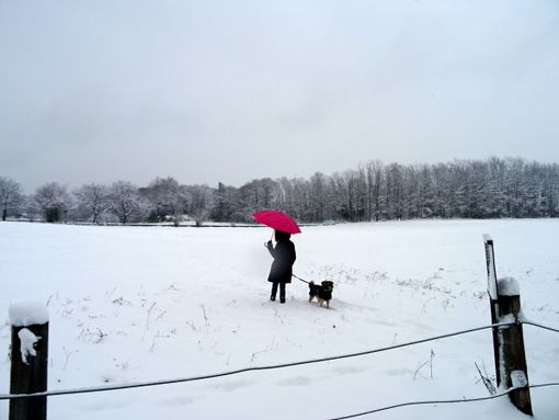 (foto S. Valisa - Centro Geofisico) (foto S. Valisa - Centro Geofisico)