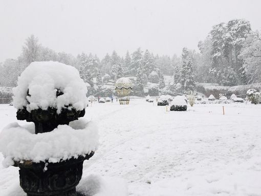 Il Centro Geofisico: «Nell'ultimo ventennio nevicate come quella di ieri (27 centimetri) si verificano ogni 4-5 anni» Il Centro Geofisico: «Nell'ultimo ventennio nevicate come quella di ieri (27 centimetri) si verificano ogni 4-5 anni»