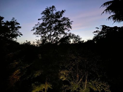 È stata una vera notte tropicale: in provincia temperatura minima di 24 gradi È stata una vera notte tropicale: in provincia temperatura minima di 24 gradi