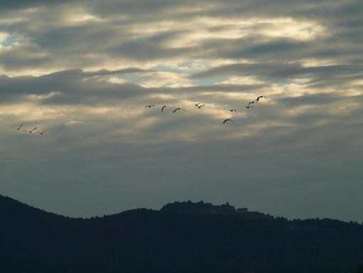 Domani qualche goccia, sabato Carnevale Bosino con sole e 15 gradi. Poi crollo termico e forse poca pioggia o neve