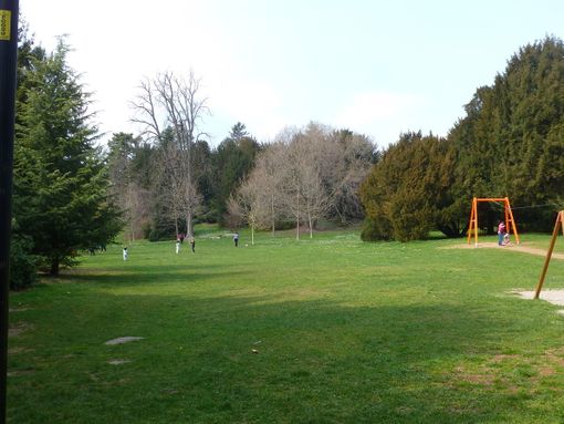 Parco Mantegazza, via libera al chiosco a chilometro zero «che parlerà del territorio»