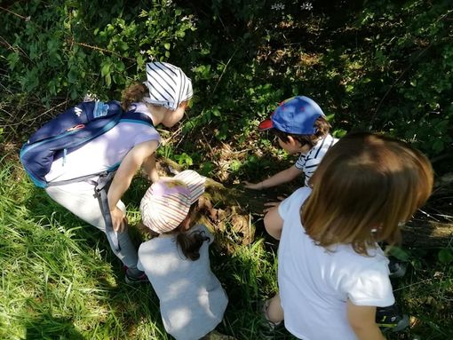 Dalla Regione 800mila euro per il potenziamento strutturale di Campo dei Fiori e Parco Pineta