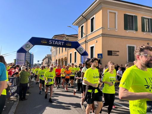 Una domenica di Sport a Castellanza: più di mille atleti al via della Liuc Run Una domenica di Sport a Castellanza: più di mille atleti al via della Liuc Run