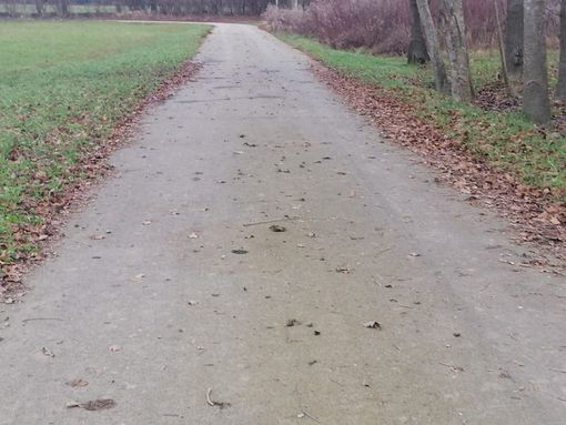 Spari sulla pista ciclabile: «La caccia non era vietata tra Casbeno e Capolago?»