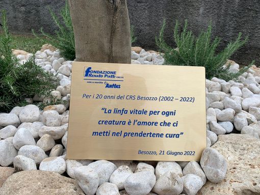Il Centro di Besozzo di Fondazione Piatti compie 20 anni