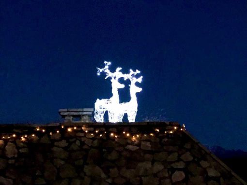 Le due magiche renne illuminate che vi aspettano al Sacro Monte da domenica 8 dicembre, giorno dell'accensione di albero e luci di Natale con altri mille eventi in programma (foto Giuseppe Marangon-La Varese Nascosta)