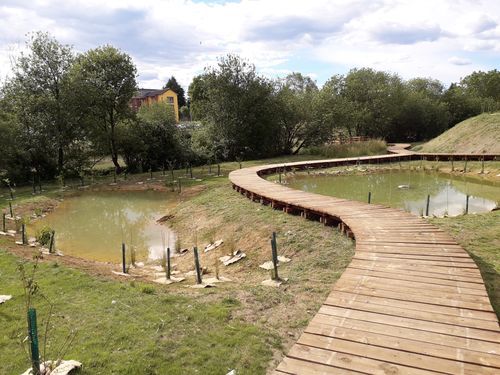 Nella foto di Raffaele Coppola pubblicata da Bizzozero.net alcuni stagni urbani delle aree umide a Bizzozero. Sotto nella gallery un altro scorcio nella foto di Uninsubria-Idrogea