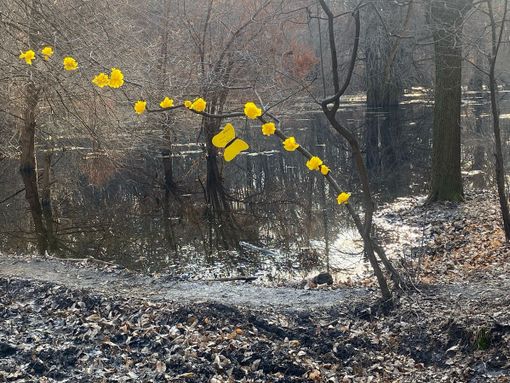 FOTONOTIZIA. La Festa della Donna al Laghetasc di Brebbia