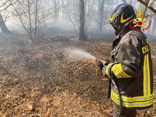 Al Brinzio l’incontro “Dove si semina il futuro” delle ASFO e delle foreste lombarde Al Brinzio l’incontro “Dove si semina il futuro” delle ASFO e delle foreste lombarde
