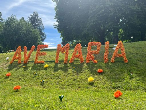 Le vie e i prati di Cuasso al Monte in fiore per la processione della Madonna di Caravaggio Le vie e i prati di Cuasso al Monte in fiore per la processione della Madonna di Caravaggio