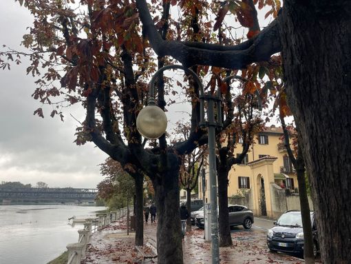 Un lampione guasto in viale Italia a Sesto Calende Un lampione guasto in viale Italia a Sesto Calende