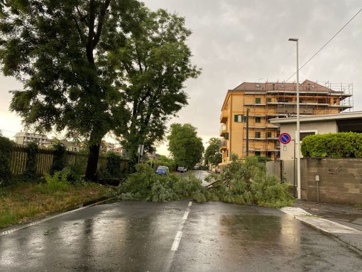 Maltempo a Busto: giù alberi e strade bloccate. Treni in tilt