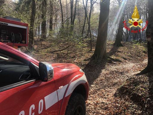 VIDEO. Marchirolo, bosco in fiamme in via Pietro Bozzolo, presidio dei vigili del fuoco per tutta la notte VIDEO. Marchirolo, bosco in fiamme in via Pietro Bozzolo, presidio dei vigili del fuoco per tutta la notte
