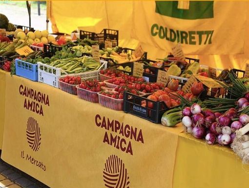 Varese, in viale Valganna il nuovo mercato coperto con i banchi dei produttori del territorio